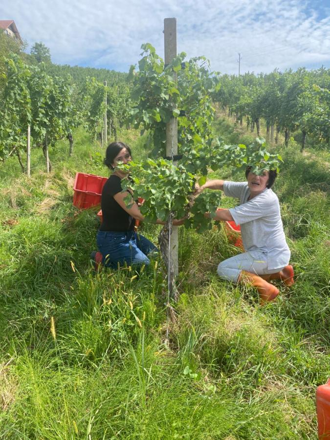 Trautenburg Stub'N Leutschach Luaran gambar
